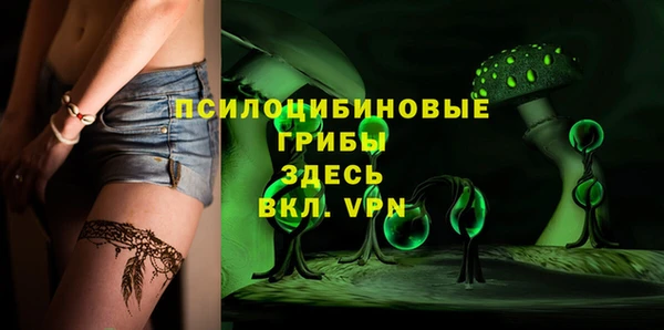 ПСИЛОЦИБИНОВЫЕ ГРИБЫ Арсеньев