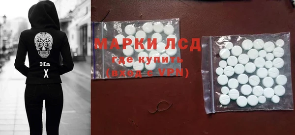 ПСИЛОЦИБИНОВЫЕ ГРИБЫ Арсеньев