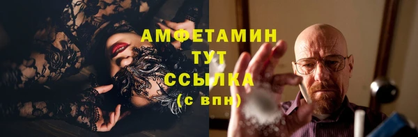 ПСИЛОЦИБИНОВЫЕ ГРИБЫ Арсеньев