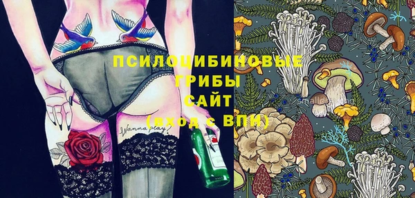 ПСИЛОЦИБИНОВЫЕ ГРИБЫ Арсеньев