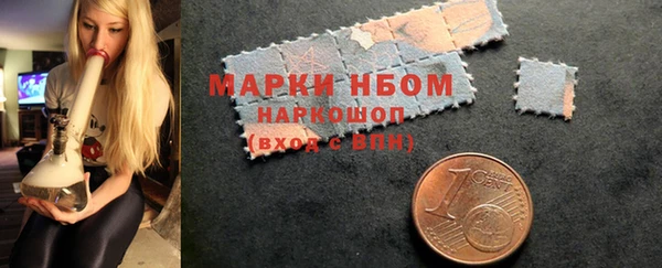 ПСИЛОЦИБИНОВЫЕ ГРИБЫ Арсеньев