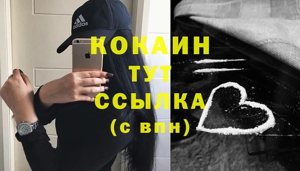 дмт Аркадак